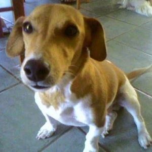 Meet your Posher, Jen